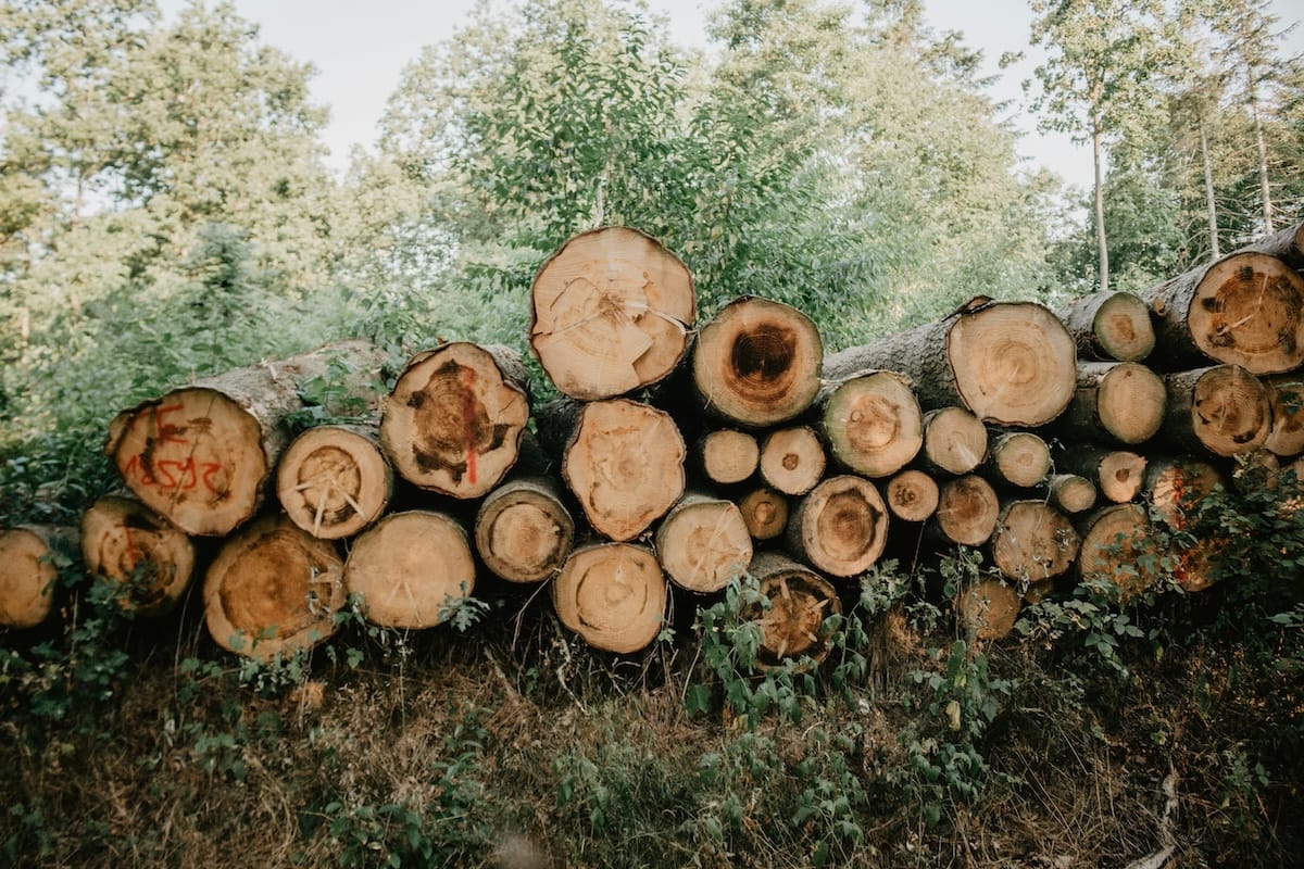 Eurabo en partners ontwikkelen lokaal ecobouwmateriaal